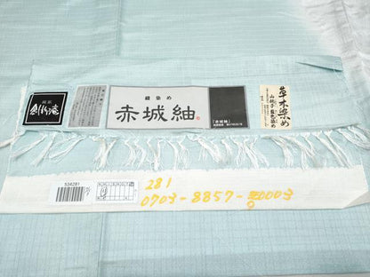 平和屋本店■希少 男性 夏物 十日町 名門青柳 櫛引織 赤城紬 草木染 キングサイズ 訪問着 山梔子藍色染 やまと誂製 証紙付 逸品 CYAA2613s5
