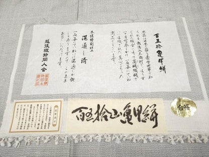 平和屋本店■極上　紬　百五拾亀甲絣　証紙付き　逸品　CYAA2631s5