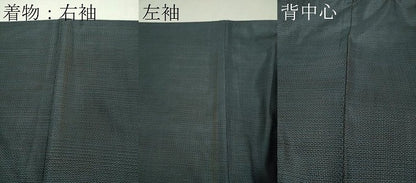 平和屋着物■極上　男性　本場大島紬　アンサンブル　長羽織　100亀甲　総詰め　逸品　DZAA8522kh5