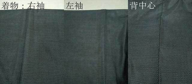 平和屋着物■極上　男性　本場大島紬　アンサンブル　長羽織　100亀甲　総詰め　逸品　DZAA8522kh5