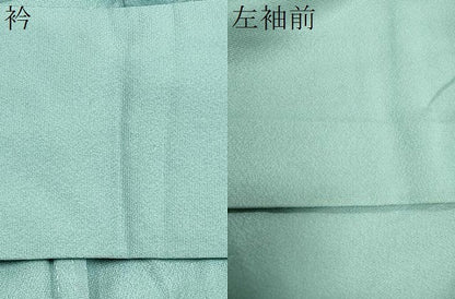 平和屋着物▽訪問着 単衣 総刺繍 草花文 暈し染め 金糸 正絹 逸品 CAAV3894dy