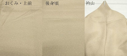 平和屋着物●江戸小紋　極々大小あられ　反端付き　正絹　逸品　CAAV6637vf