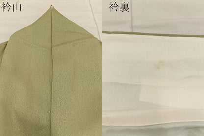 平和屋着物●訪問着 江戸小紋 鮫小紋柄 暈し染め 正絹 逸品 BAAU5843mz