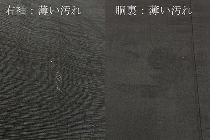 平和屋着物■男性　紬　絣文様　正絹　逸品　BAAU5947mz