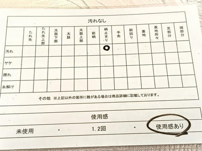 平和屋着物◎六通柄袋帯　唐織　孔雀羽根文　銀糸　正絹　逸品　BAAU6480yc