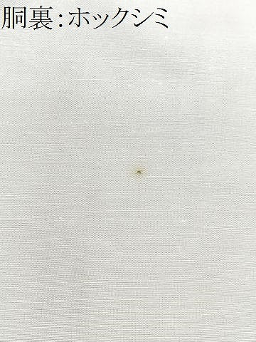 平和屋着物●本場琉球絣　琉球絣文様　正絹　逸品　CAAV8325xe