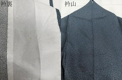 平和屋着物▽江戸小紋 単衣 吉祥小紋柄 正絹 逸品 CAAX2528xi