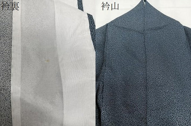 平和屋着物▽江戸小紋 単衣 吉祥小紋柄 正絹 逸品 CAAX2528xi
