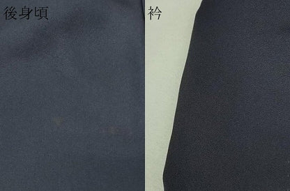 平和屋着物▽訪問着 単衣 手描き 猫 グラス 暈し染め 金彩 正絹 逸品 DAAV9954sf