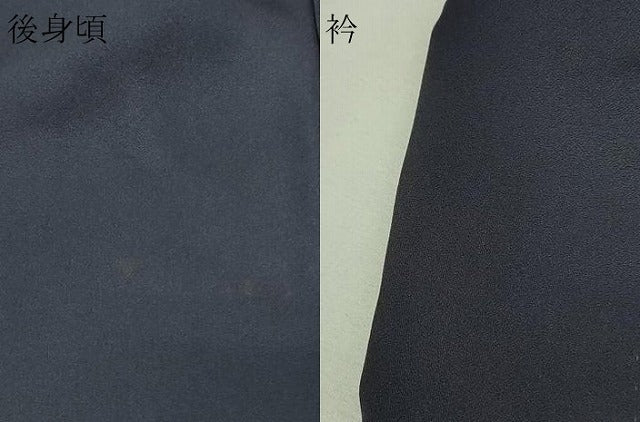 平和屋着物▽訪問着 単衣 手描き 猫 グラス 暈し染め 金彩 正絹 逸品 DAAV9954sf