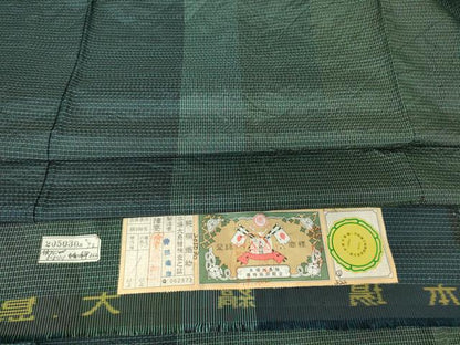 平和屋着物▽男性 本場縞大島紬 単衣 間道 100亀甲 キングサイズ 井田織物謹製 証紙付き 正絹 逸品 DAAV5788az