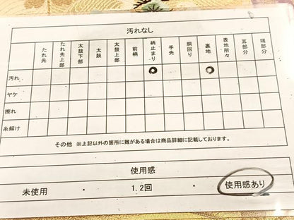 平和屋着物◎六通柄袋帯　唐織　扇風景文　金糸　正絹　逸品　BAAU9648yc