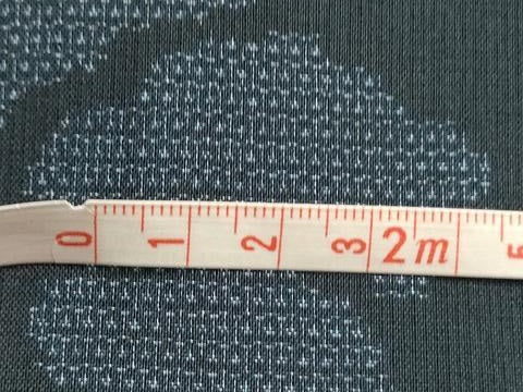 平和屋着物＊夏物 本場大島紬 夏大島 150亀甲 草花文 正絹 逸品 AABB2634jd