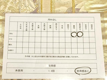 平和屋着物◎六通柄袋帯 花鼓文 金銀糸 正絹 逸品 AABB4097dt