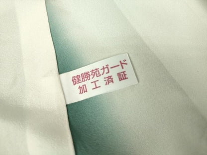 平和屋着物●江戸小紋　角通し　健勝苑扱い　正絹　逸品　DAAY9364az