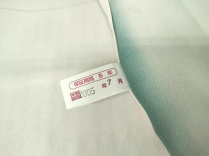 平和屋着物●江戸小紋　角通し　健勝苑扱い　正絹　逸品　DAAY9364az