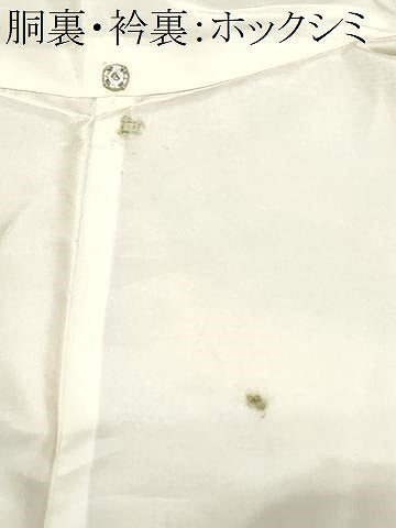 平和屋着物■上質な紬 舞葉間道 正絹 逸品 CAAZ5575ev