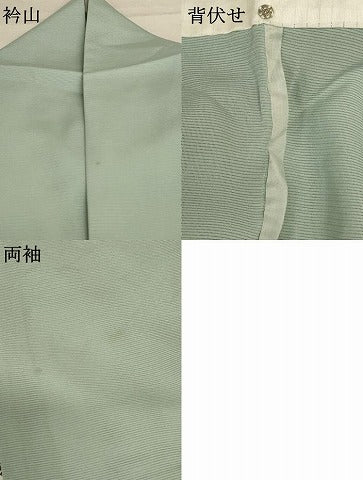 平和屋着物＊夏物 訪問着 絽 友禅 枝花文 暈し染め 正絹 逸品 AABE1287jd