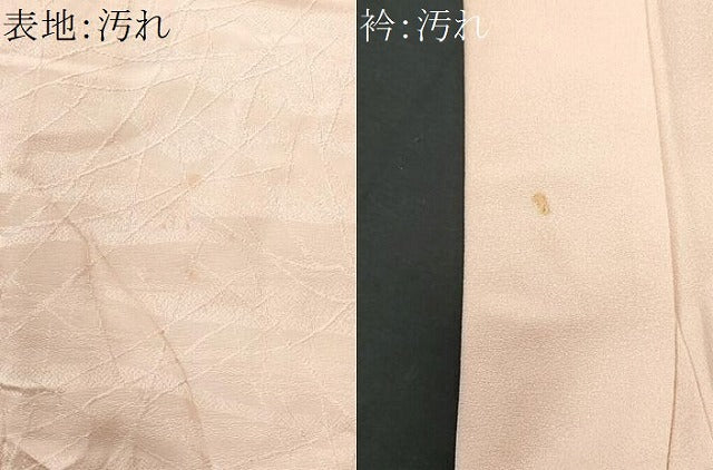 平和屋着物■豪華色留袖 枝 正絹 逸品 CABB3768fb