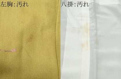 平和屋着物■訪問着　琵琶　暈し染め　金銀彩　正絹　逸品　CABB3791fb