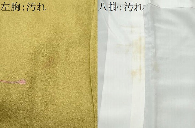 平和屋着物■訪問着　琵琶　暈し染め　金銀彩　正絹　逸品　CABB3791fb