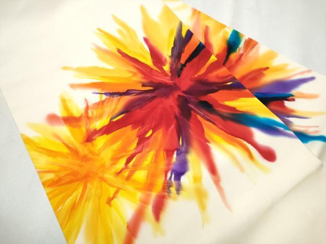 平和屋着物○染色作家 斉藤三才 塩瀬 九寸名古屋帯 舞花文 正絹