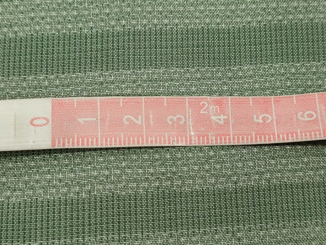 平和屋着物＊夏物 本場大島紬 夏大島 150亀甲 縞吉祥文 正絹 逸品 CABB2260ze