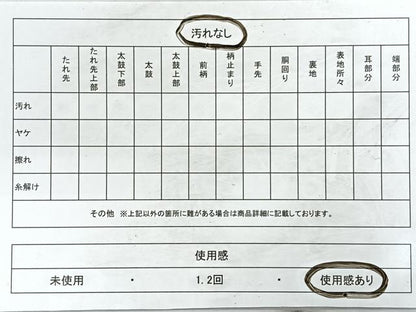 平和屋着物◎六通柄袋帯　唐織　扇面花文　金銀糸　正絹　逸品　CABB1076nb
