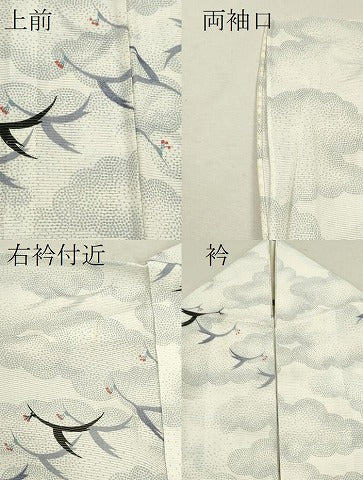 平和屋着物＊夏物 小紋 絽 雲取り飛鳥文 洗える着物 CABB9689ze