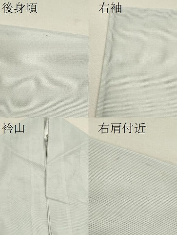平和屋着物＊夏物 訪問着 絽 枝花文 金彩 洗える着物 CABB9692ze
