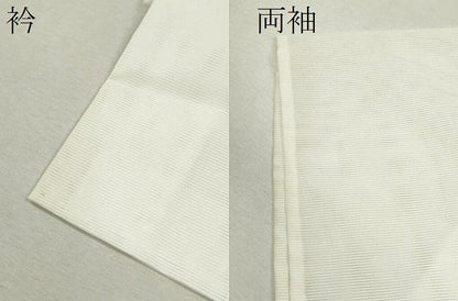 平和屋着物＊夏物 訪問着 絽 舞蝶草花文 たたき染め 洗える着物 CABB9685ze