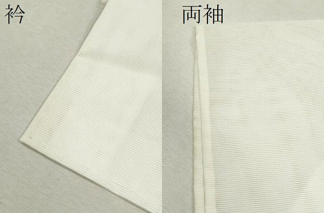 平和屋着物＊夏物 訪問着 絽 舞蝶草花文 たたき染め 洗える着物 CABB9685ze