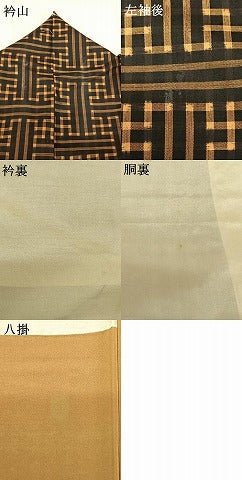 平和屋着物●本場大島紬 龍郷絣 秋名バラ 正絹 逸品 AABF0296fy