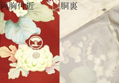 平和屋本店●極上　アンティーク 大正ロマン 振袖 駒刺繍 相良刺繍 鳳凰草花文 暈し染 金彩 鬼しぼ縮緬 紅海老茶色地 逸品　CYAA4522s6
