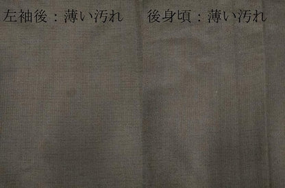 平和屋着物■男性　紬　霞文　正絹　逸品　CABB1897ou