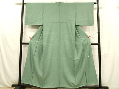 平和屋着物■江戸小紋 草木染 作家物 草葉文 正絹 逸品 DABB3524cm
