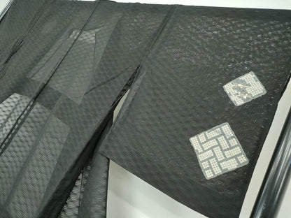 平和屋着物＊夏物 訪問着 紗 色紙重ね文 黒地 金銀彩 正絹 逸品 DABA4447az