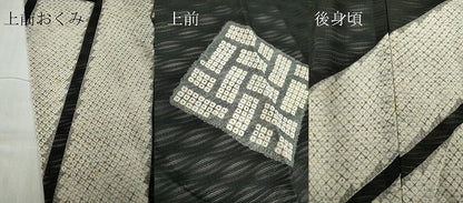 平和屋着物＊夏物 訪問着 紗 色紙重ね文 黒地 金銀彩 正絹 逸品 DABA4447az