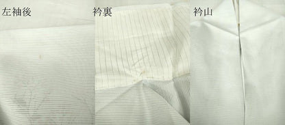 平和屋着物＊夏物 訪問着 絽 枝花文 暈し染め 洗える着物 DABA4482az
