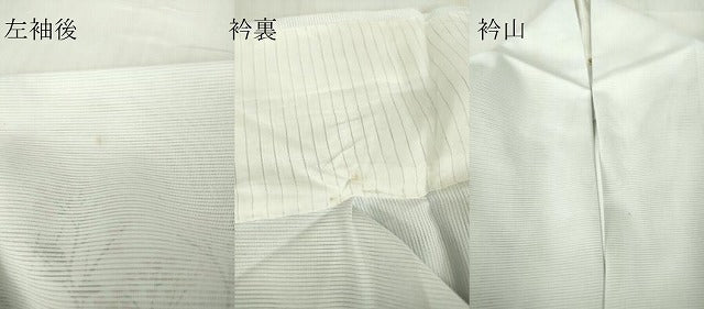 平和屋着物＊夏物 訪問着 絽 枝花文 暈し染め 洗える着物 DABA4482az