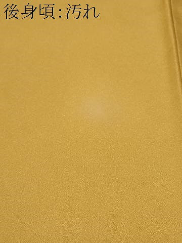 平和屋着物■訪問着 枝花文 金彩 正絹 逸品 CABC0166ev