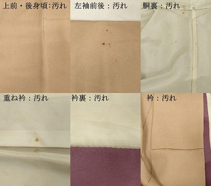 平和屋着物■訪問着 駒刺繍 枝花文 金彩 正絹 逸品 DABC4538cd