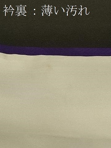平和屋着物■訪問着 秋草籠文 金彩 正絹 逸品 CABD1311in