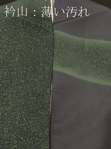 平和屋着物■訪問着 霞文 正絹 逸品 CABD1314in