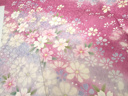 平和屋着物●豪華振袖　舞花文　暈し染め　銀糸　新通し地　ロング丈　正絹　逸品　AABG7923cs