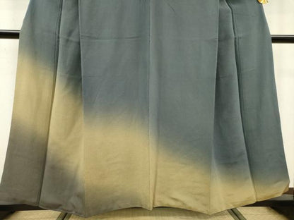 平和屋着物▼訪問着 霞文 暈し染 鬼しぼ縮緬 正絹 逸品 DABC6743fe