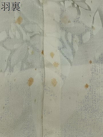 平和屋着物∞羽織　寿光織　草花文　黒地　金糸　正絹　逸品　CABD4716ua