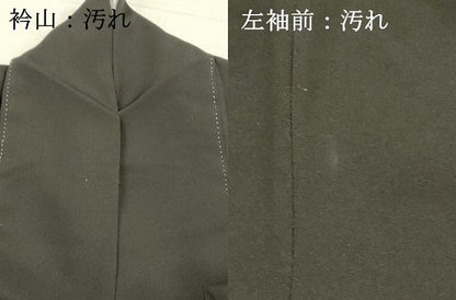 平和屋着物■豪華黒留袖 孔雀草花文 金彩 正絹 逸品 DABC8787cm