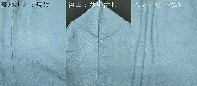 平和屋着物■豪華色留袖 寿光織 平安讃歌 さが美扱い 正絹 逸品 CABE6045fb