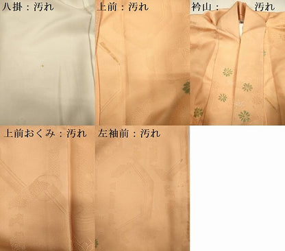 平和屋着物■上質な小紋 舞花地紋 地紋起こし 暈し染め 正絹 逸品 DABC7930ya
